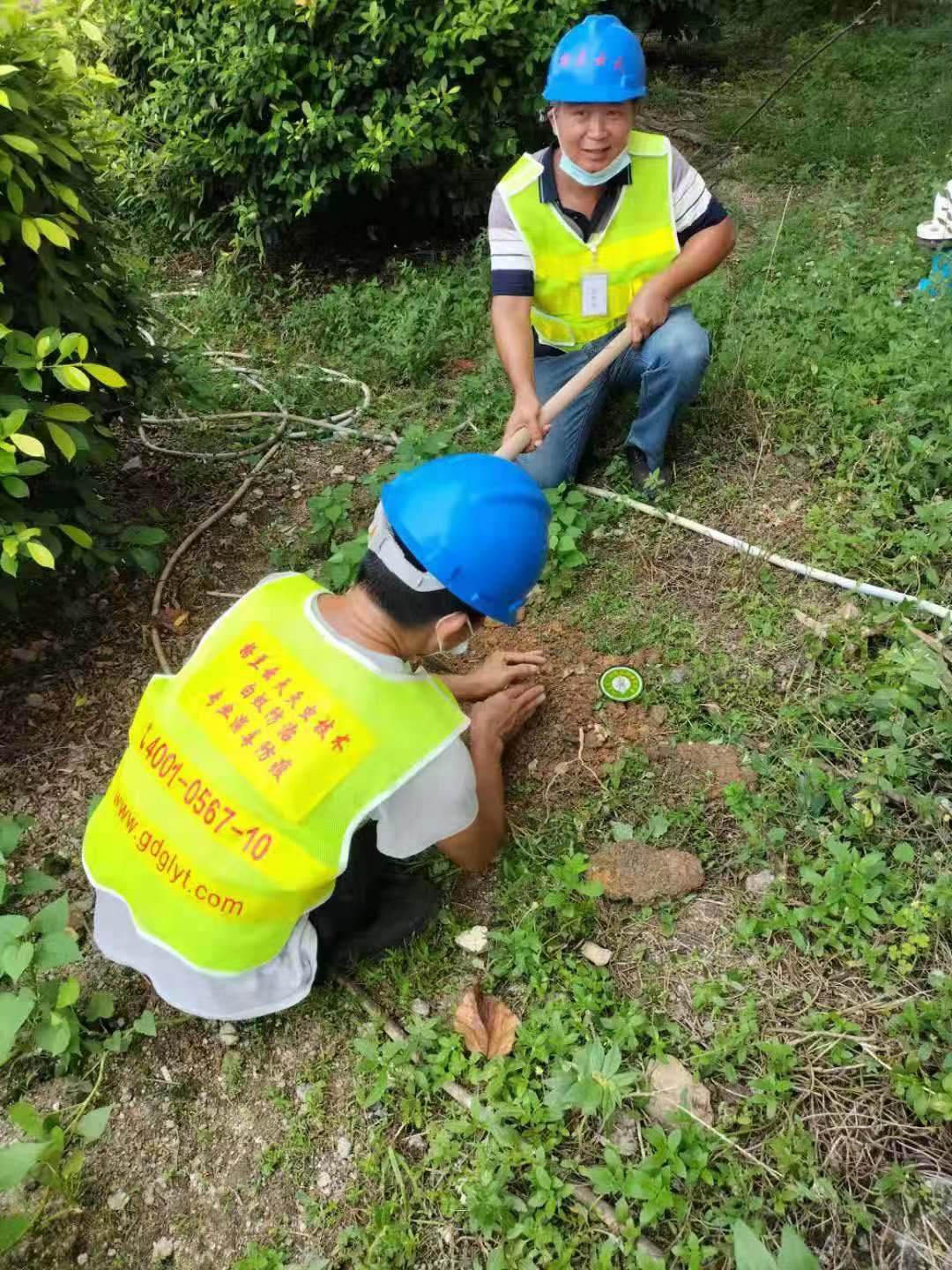發現白蟻後應該注意些什麽 不同(tóng)情況下要如何進行白蟻防治(圖1) 發現白(bái)蟻後應該注意些什麽 不同情況下要如何進行白蟻防治(圖1)