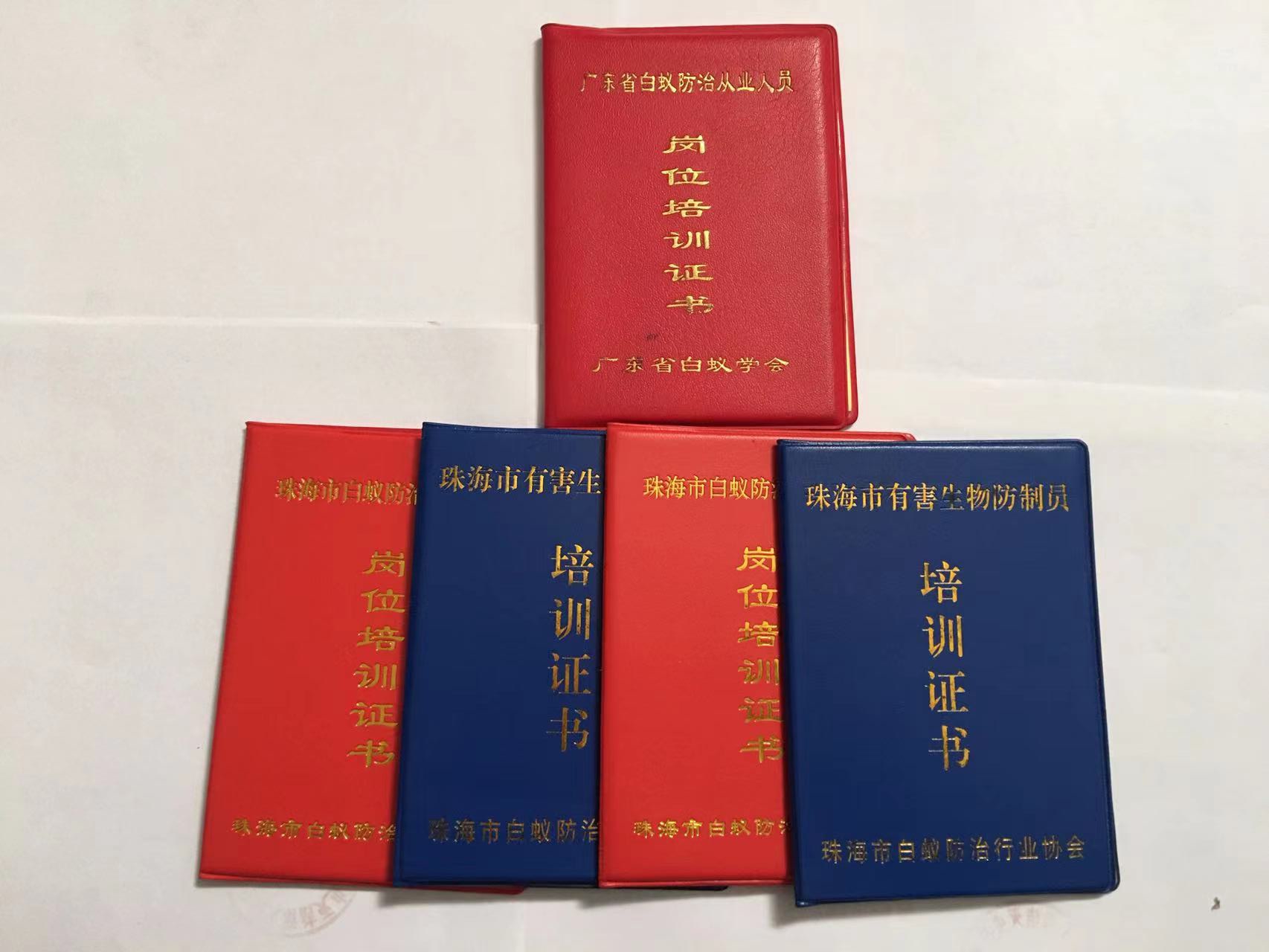 珠海（hǎi）滅鼠公司哪家比較好（hǎo）？五種滅鼠方法及步驟,讓你（nǐ）得心應手-珠海菠萝菠萝蜜网站清潔滅蟲技術（shù）有限公司(圖1)