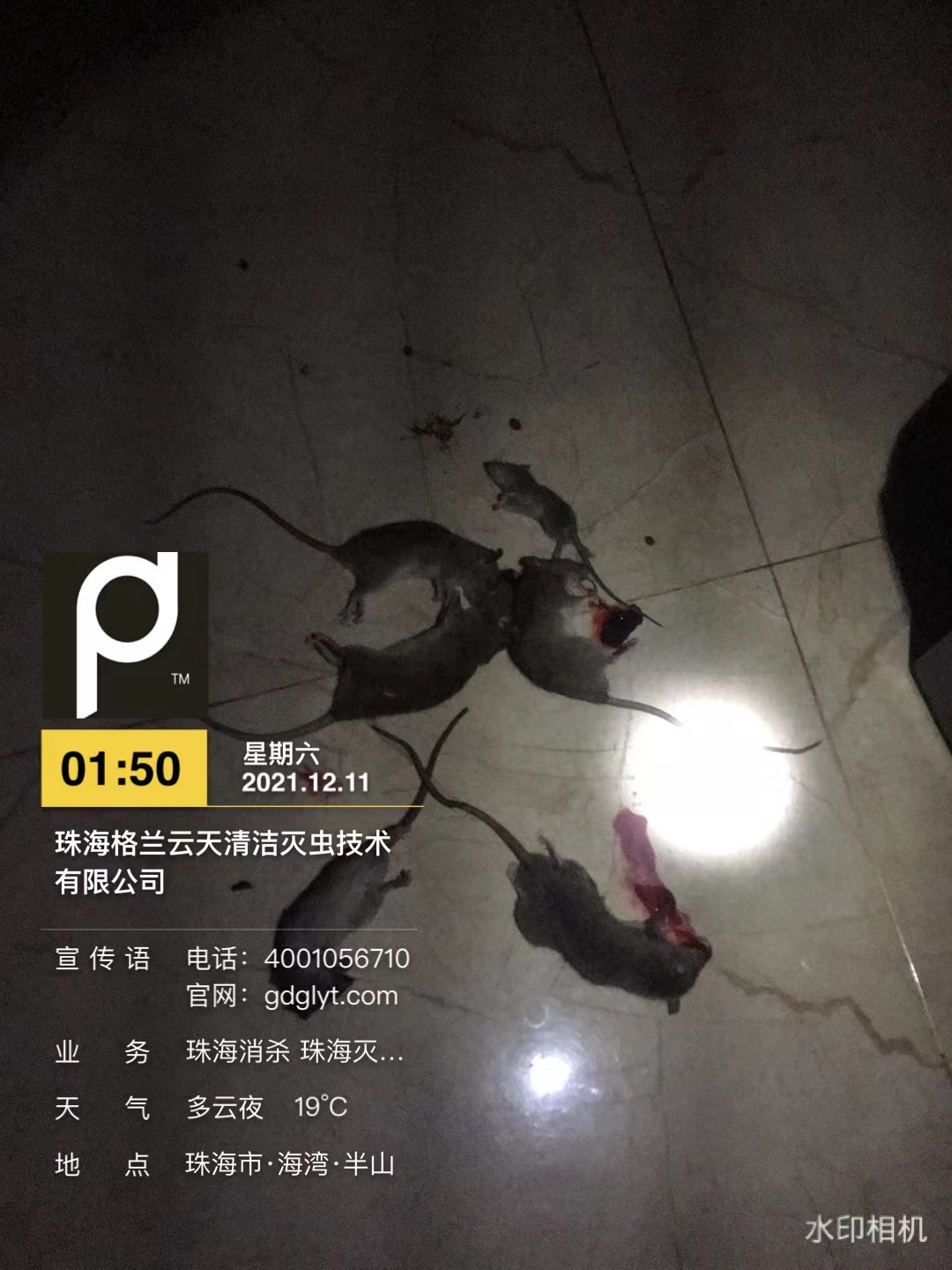 1-22012311035c43.jpg