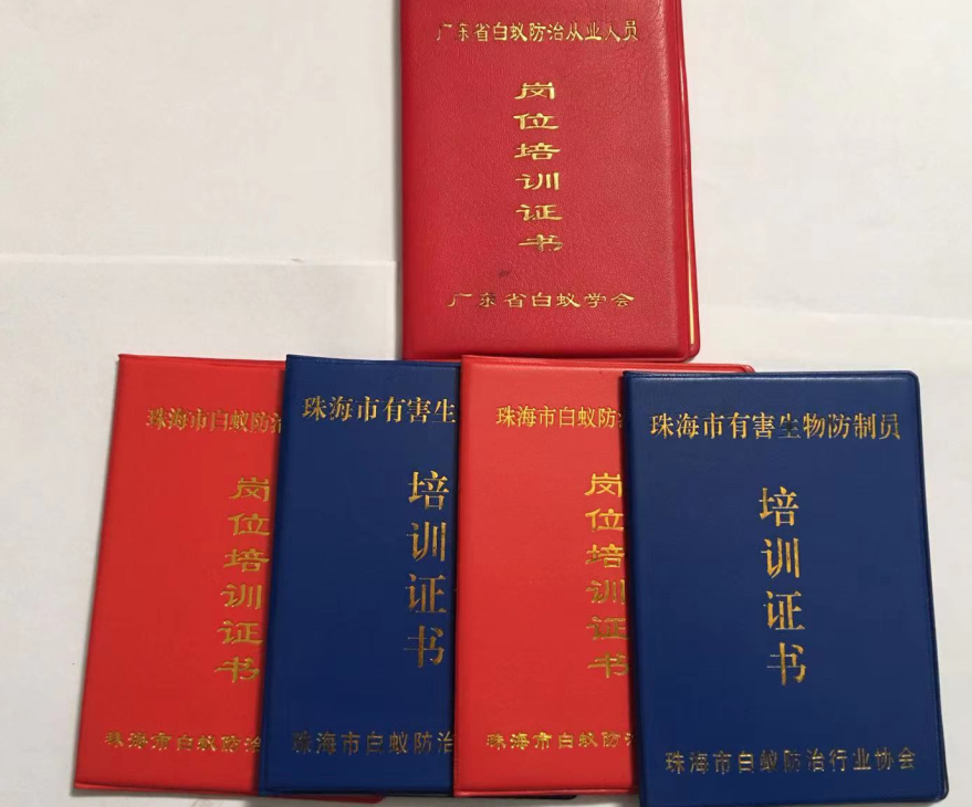 珠海怎（zěn）樣滅殺老（lǎo）鼠 珠海裝修白蟻預防-珠海白（bái）蟻防治公司-珠海格（gé）蘭雲天清潔滅蟲技術有限公司(圖5)