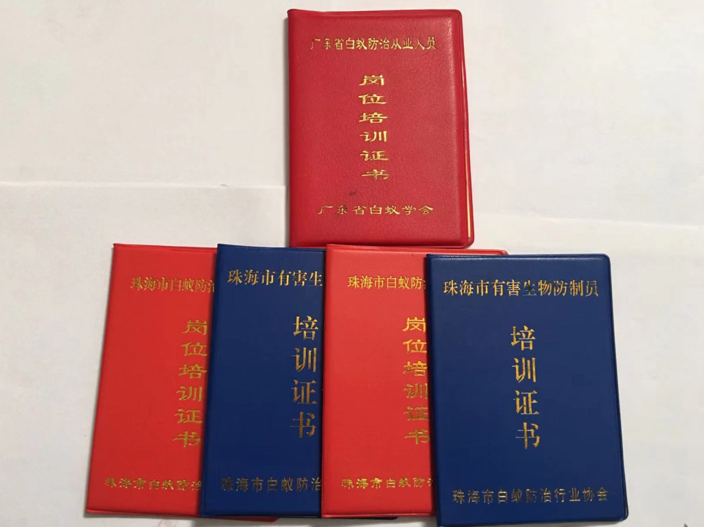 珠海（hǎi）滅白蟻 珠海白蟻防（fáng）治價格 防治白蟻的最佳方法 珠海市（shì）白蟻（yǐ）防（fáng）治 -珠海（hǎi）格蘭雲（yún）天（tiān）清潔滅蟲技術有限公司(圖2)