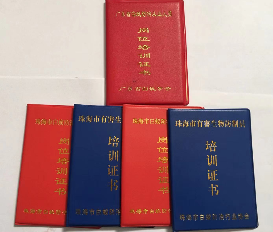 高新區怎樣做好白蟻防治技術工程 《珠(zhū)海菠萝菠萝蜜网站清潔滅蟲技術有限公司》(圖3) 高新(xīn)區(qū)怎樣做好(hǎo)白蟻防治技術工(gōng)程(chéng) 《珠海菠萝菠萝蜜网站清潔滅蟲技術有限公司》(圖(tú)3)