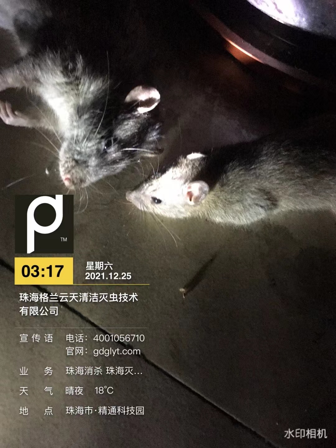 微信圖片(piàn)_20211225044230.jpg 微信圖片_20211225044230.jpg