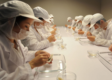 食品加工、關聯企業有害生物(wù)解決方案 食品加工、關聯企業有害生物解決方案