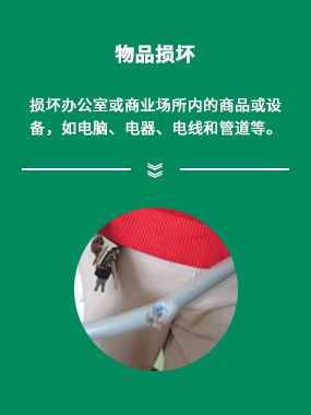 1574321416136962.jpg shu2.jpg