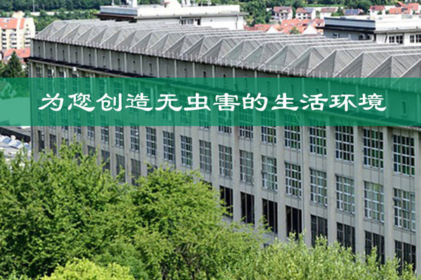 東鳳優質除蟑螂公司
