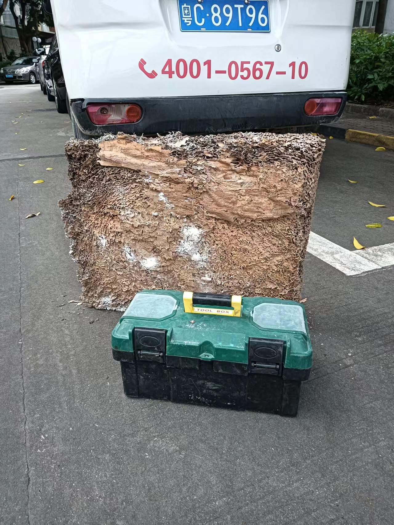 南屏白蟻防治中心 南屏(píng)白蟻防治所 南屏白蟻防(fáng)治中心 南屏白蟻防(fáng)治所