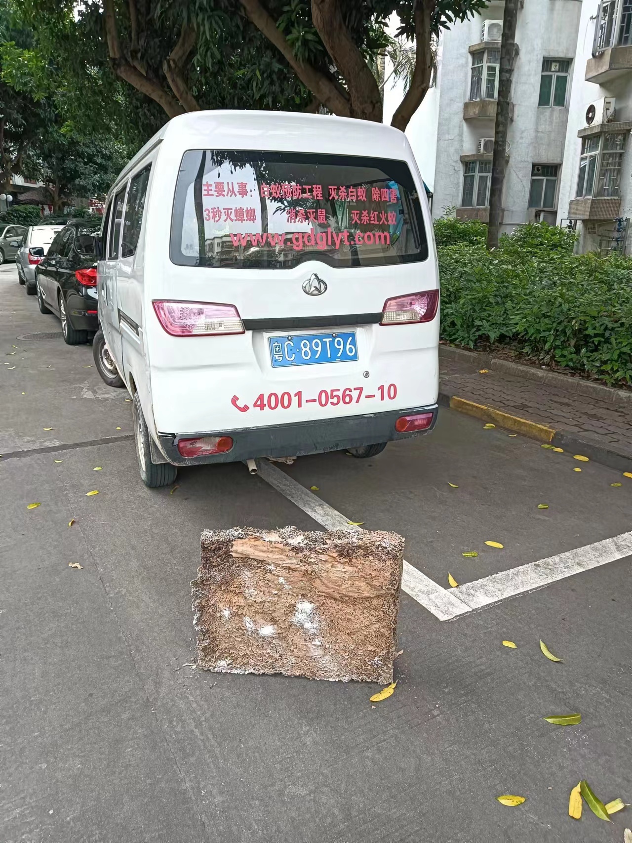 金鼎白蟻防治 金鼎白蟻預防 金鼎消殺滅四害公司-珠海菠萝菠萝蜜网站(tiān)清潔滅蟲技術有限(xiàn)公司 金鼎白(bái)蟻防治(zhì) 金鼎白蟻預防(fáng) 金鼎消殺滅(miè)四害(hài)公司-珠海菠萝菠萝蜜网站清潔滅蟲技術有限公司