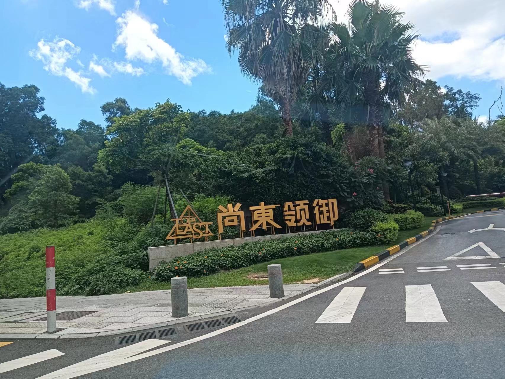 珠海白蟻防治公司 珠海白蟻防治公司