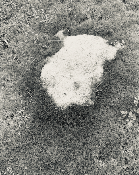 blob.png
