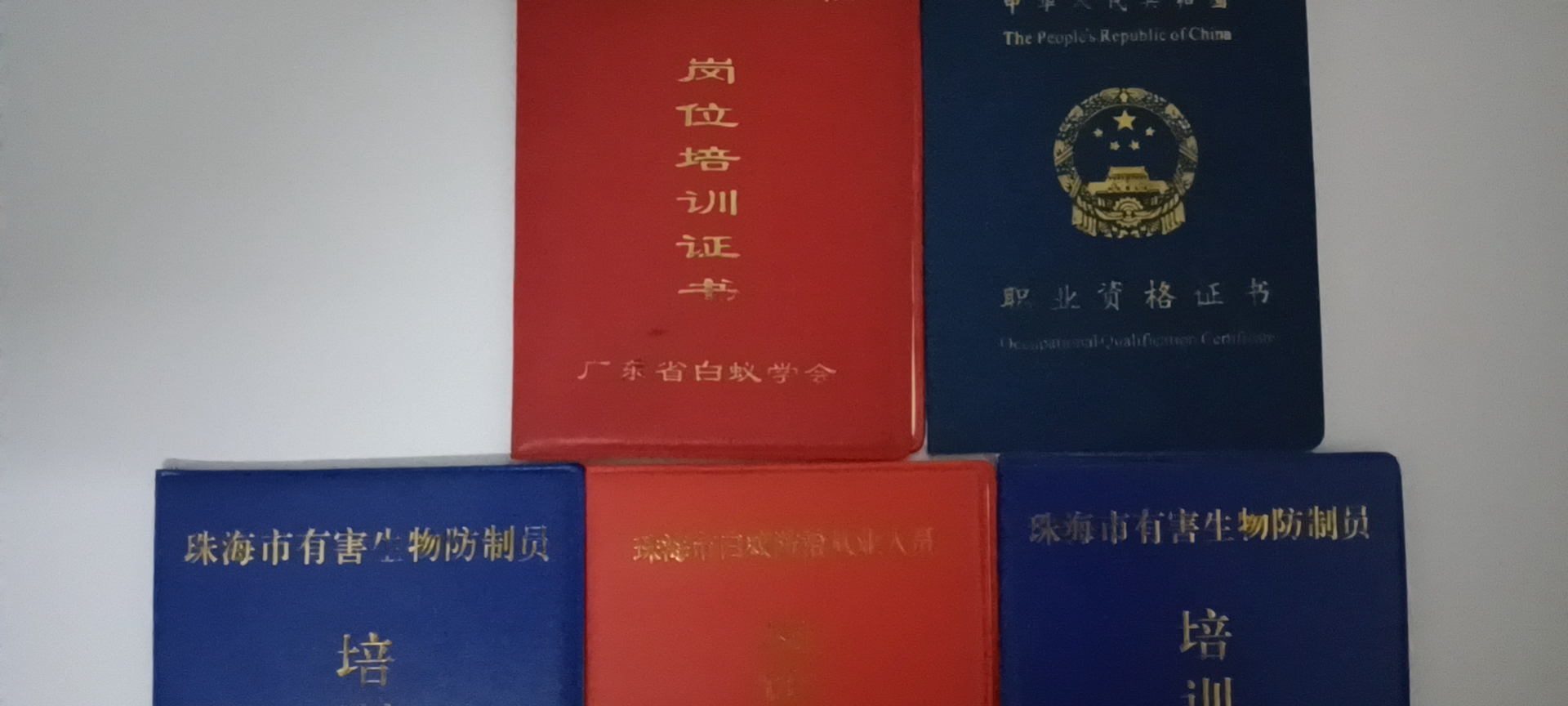 珠海白蟻防治中心南（nán）溪正確進行白蟻防治-新（xīn）建預防白蟻技術-收費-標準 --珠海菠萝菠萝蜜网站清潔滅蟲技術有限公司(圖（tú）5)