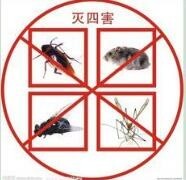 深圳布吉學(xué)校殺蟲滅鼠_歡迎來(lái)電