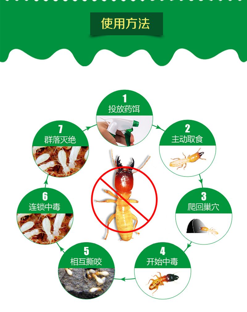 中山南朗白蟻消殺公司