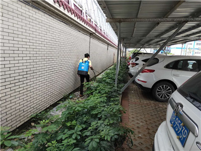 珠海金灣酒樓滅蟑螂多少錢