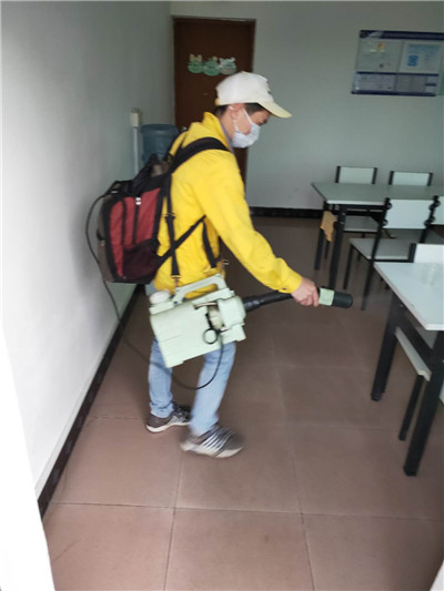 三灶快速老鼠消殺