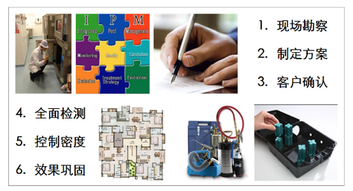 臭蟲(chóng) 臭蟲