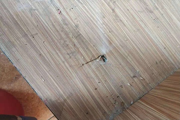 深圳布吉白蟻防治單位熱線