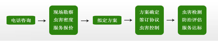 企業殺蟲流程