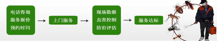 家(jiā)庭殺蟲流程 家庭殺蟲(chóng)流程