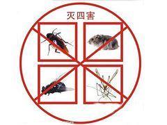三灶學校滅白蟻機構
