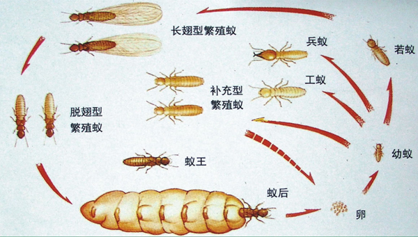 圖片關鍵詞