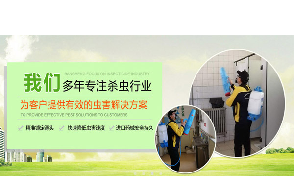 河西區專(zhuān)業除蠅收費標準