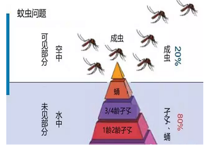 幼兒園室內有蚊(wén)子怎麽辦(bàn)-珠海格蘭雲(yún)天清(qīng)潔滅蟲技(jì)術有(yǒu)限公司(圖3) 幼兒園室內有(yǒu)蚊子怎麽辦-珠海菠萝菠萝蜜网站(tiān)清潔滅蟲技術有限公司(圖3)