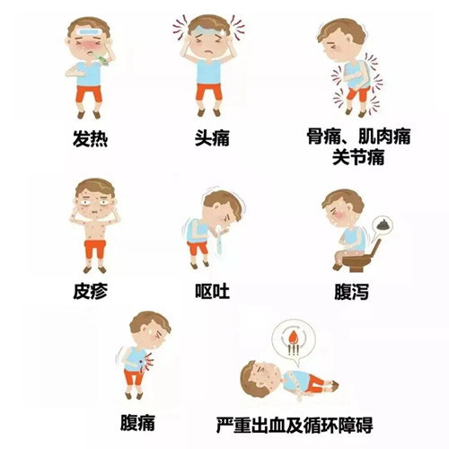 給珠海(hǎi)市民首(shǒu)次接觸-- 登革熱防控基本知識--珠海菠萝菠萝蜜网站清潔滅蟲技術有限公司 給珠海市民首次接觸-- 登革熱防控基本知識--珠海菠萝菠萝蜜网站清潔滅蟲技術有限公司