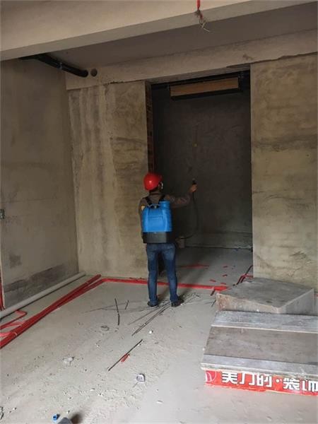 廣西裝修白蟻防(fáng)護妙招 廣西裝修白蟻防護妙招