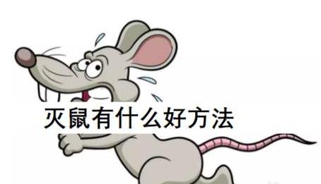 珠海滅鼠 珠海滅鼠