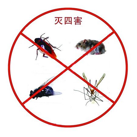 珠海教你除蟑螂七個妙(miào)招-珠海除四害公司(圖1) 珠海教你除蟑螂七個妙招-珠海除四害公司(圖1)