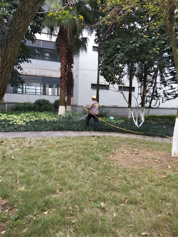 白蟻防治中心機構（gòu）