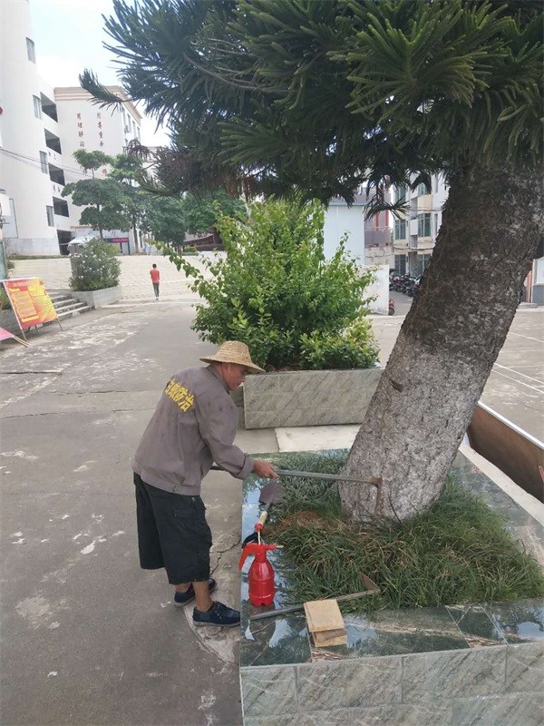 學校白蟻防治