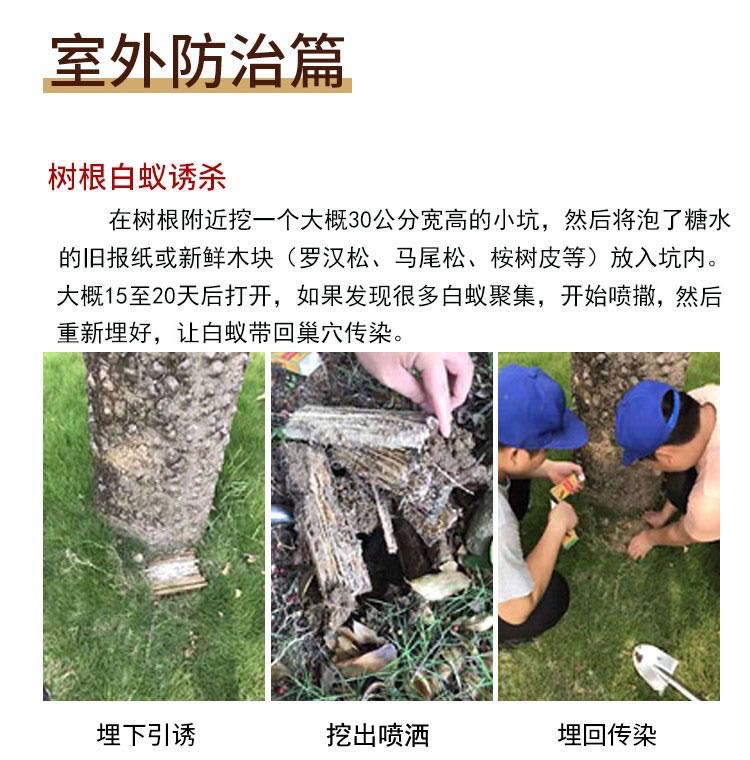1595567046138368.jpg 微信圖片_20200724130243.jpg