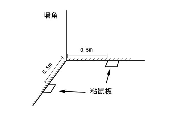 粘鼠板安放示意圖