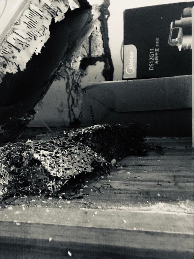 珠海白蟻防治哪家快又(yòu)好菠萝菠萝蜜网站滅蟲技術來幫忙(máng) 珠海菠萝菠萝蜜网站(tiān)滅蟲(chóng)技術 珠(zhū)海白蟻防治哪(nǎ)家快又好-珠海菠萝菠萝蜜网站清潔滅蟲技術有限公司,是珠海海市白蟻防治行業協會:副(fù)會長(zhǎng)兼秘書長(zhǎng)單位 專業從事新建白蟻預(yù)防 滅(圖7) 珠海白蟻防治哪家快又好菠萝菠萝蜜网站滅蟲技術來幫忙