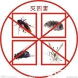 觀瀾哪裏餐廳滅蟑螂聯係電話