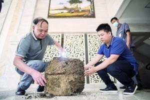 廣州千萬豪宅無人住 藏(cáng)了上百萬白(bái)蟻