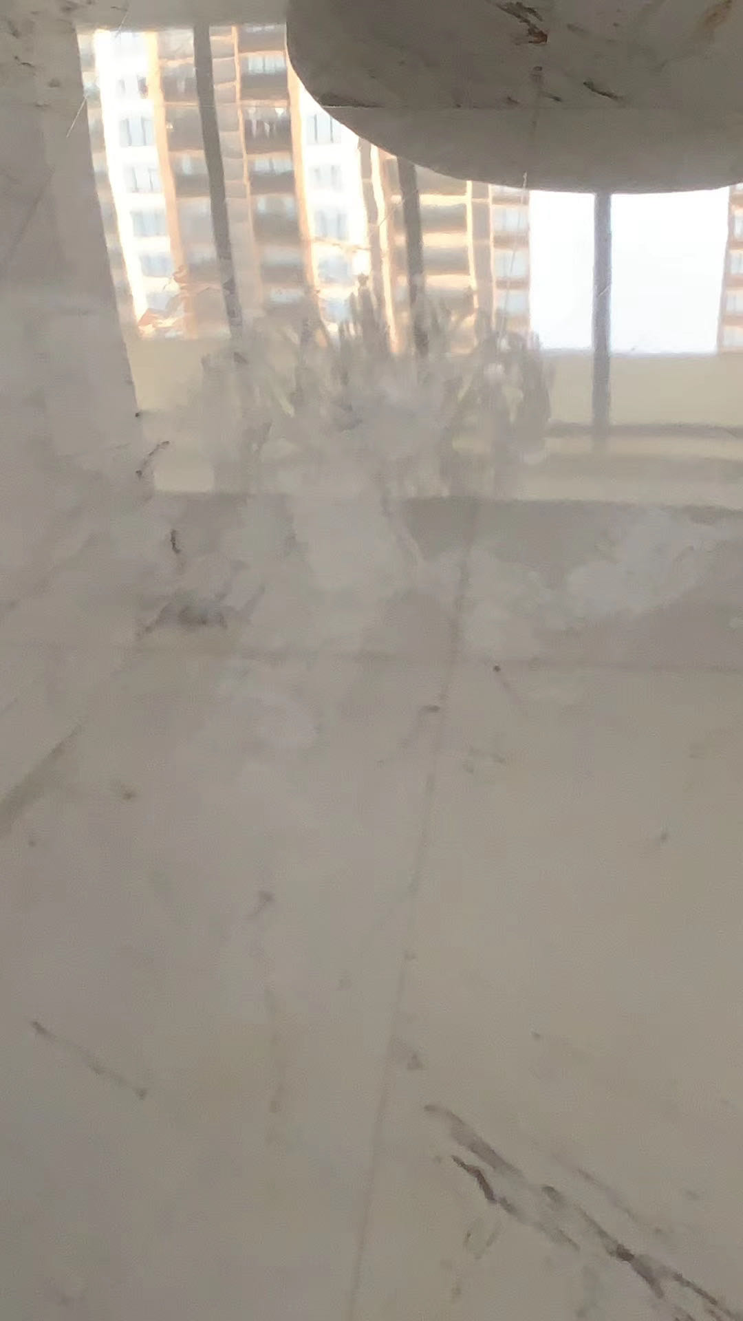 1590923299552355.jpg 1590923299552355.jpg
