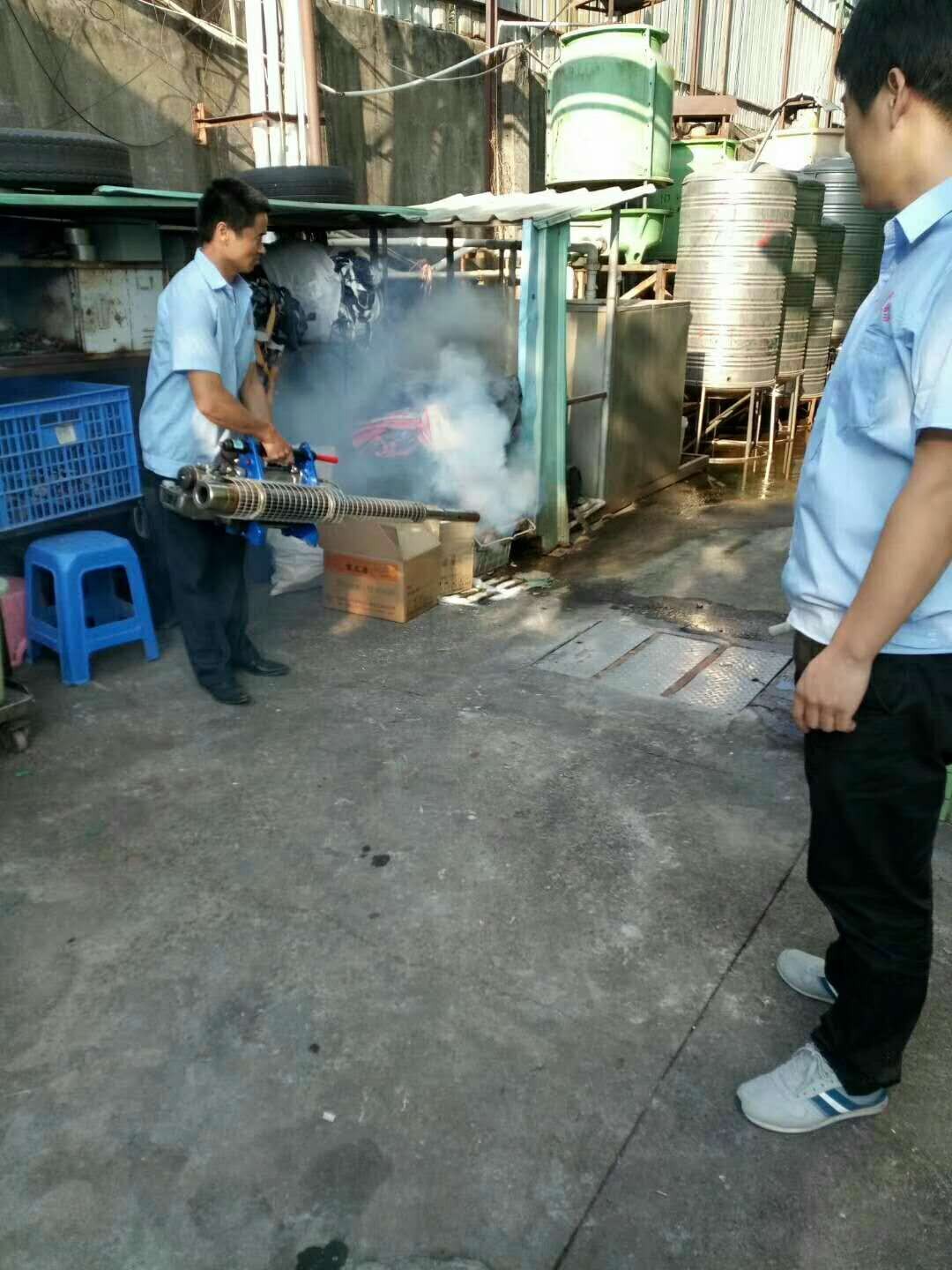 塘廈殺蟲(chóng)多少錢【專業殺蟲】