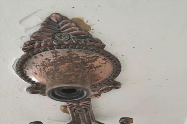 東(dōng)莞塘廈除(chú)四害滅蟑螂(láng)廠家-保山資訊