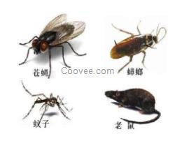 珠海市白蟻防治防治中心