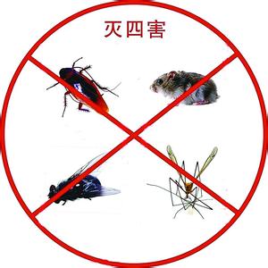 中山（shān）神灣滅老鼠公司
