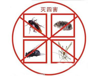 中山神（shén）灣（wān）滅老鼠公司