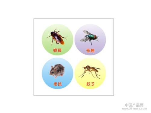 中山神灣滅老鼠公司（sī）