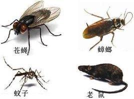 吉大小區殺蟲收費