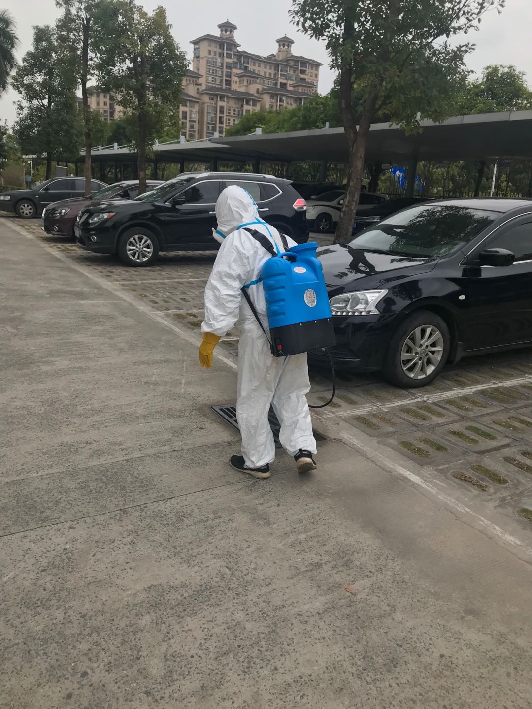 珠海殺蟲公司的師傅們穿(chuān)上專業防護設施(shī)來做消殺除害蟲防治(圖3) 珠海殺蟲公司的師傅們穿上專業防(fáng)護設施來(lái)做消殺除害(hài)蟲防治(圖3)