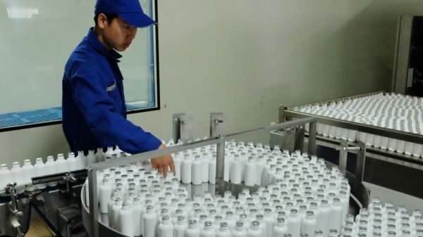 世界最大的蟑螂養殖基地