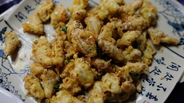 世界最大的蟑螂養殖基地
