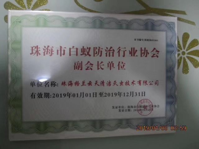 1571861701360993.jpg
